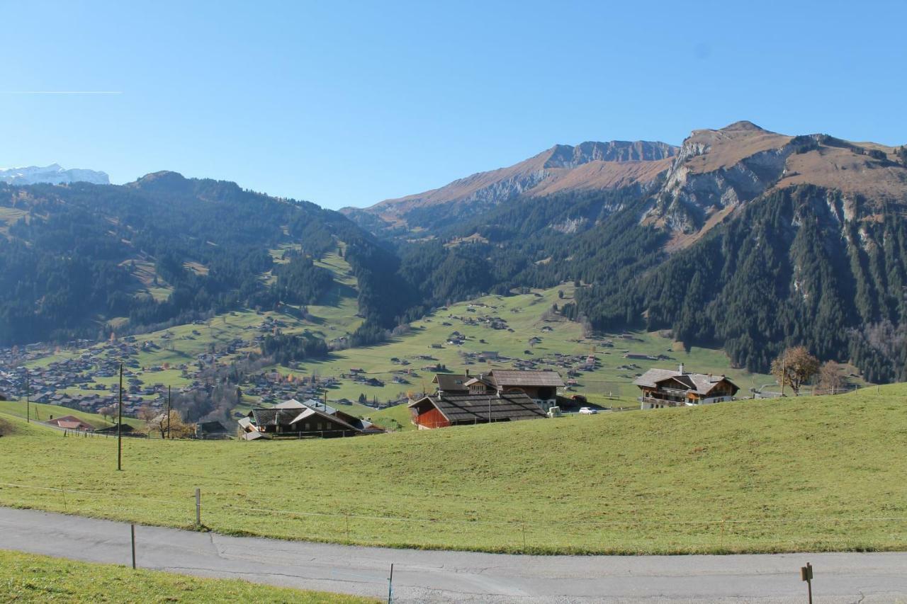 Chalet Weissenberg Lenk Bagian luar foto
