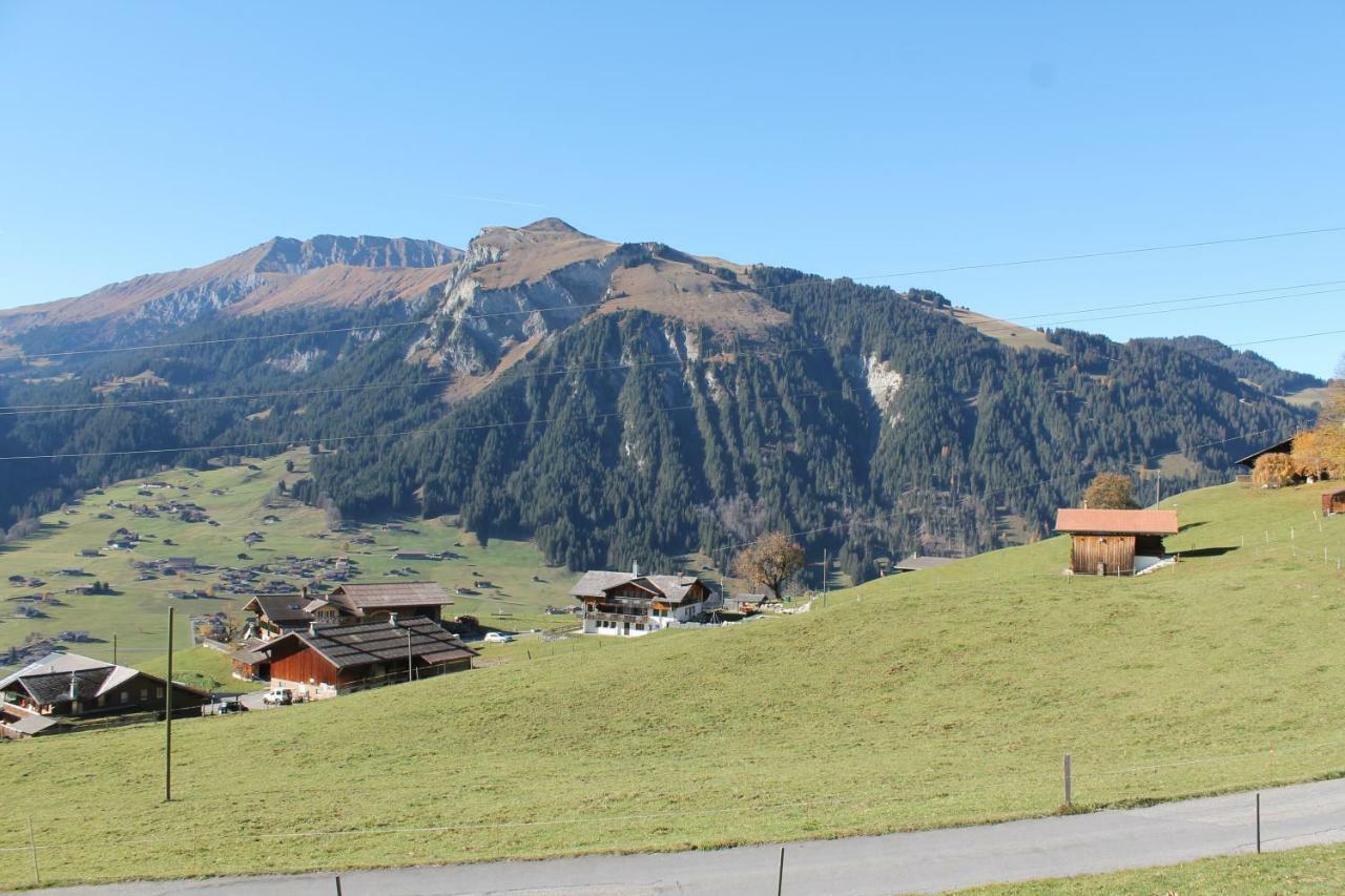 Chalet Weissenberg Lenk Bagian luar foto